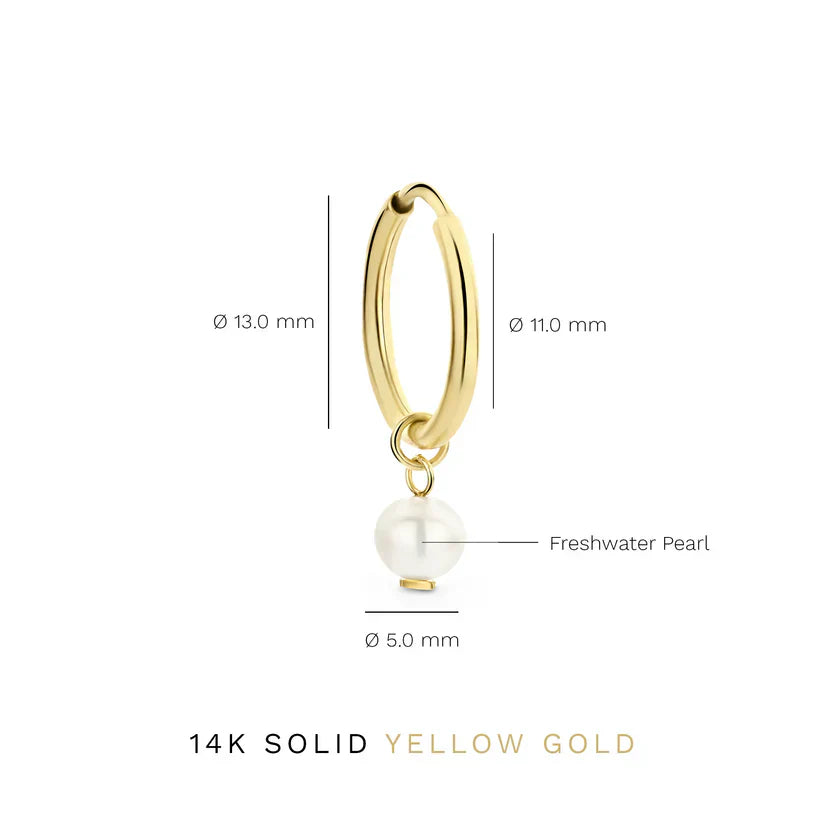 Delia Wappen Ohrringe | Gold