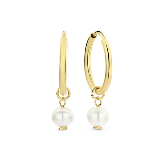 Delia Wappen Ohrringe | Gold