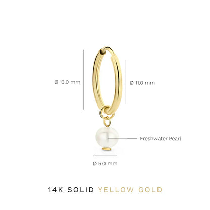 Delia Wappen Ohrringe | Gold
